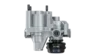 18.webp